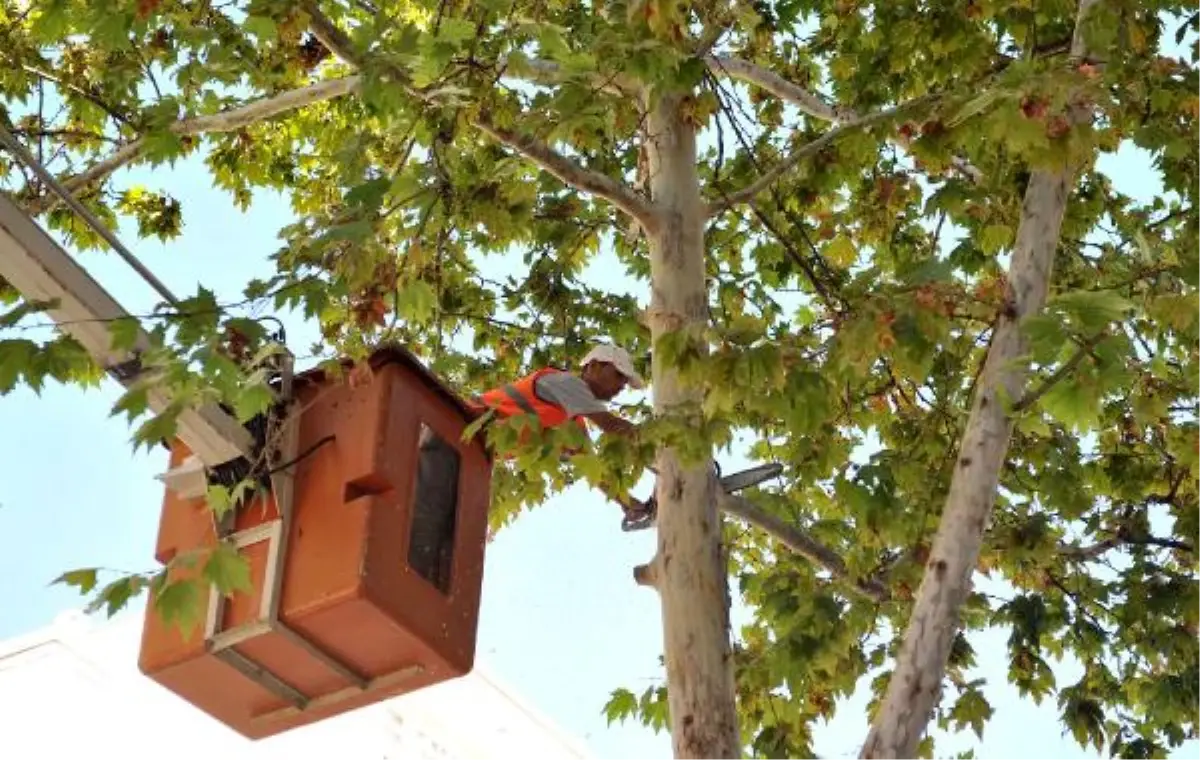 Antalya Bürosu\'nun Bölge Haberleri (1)
