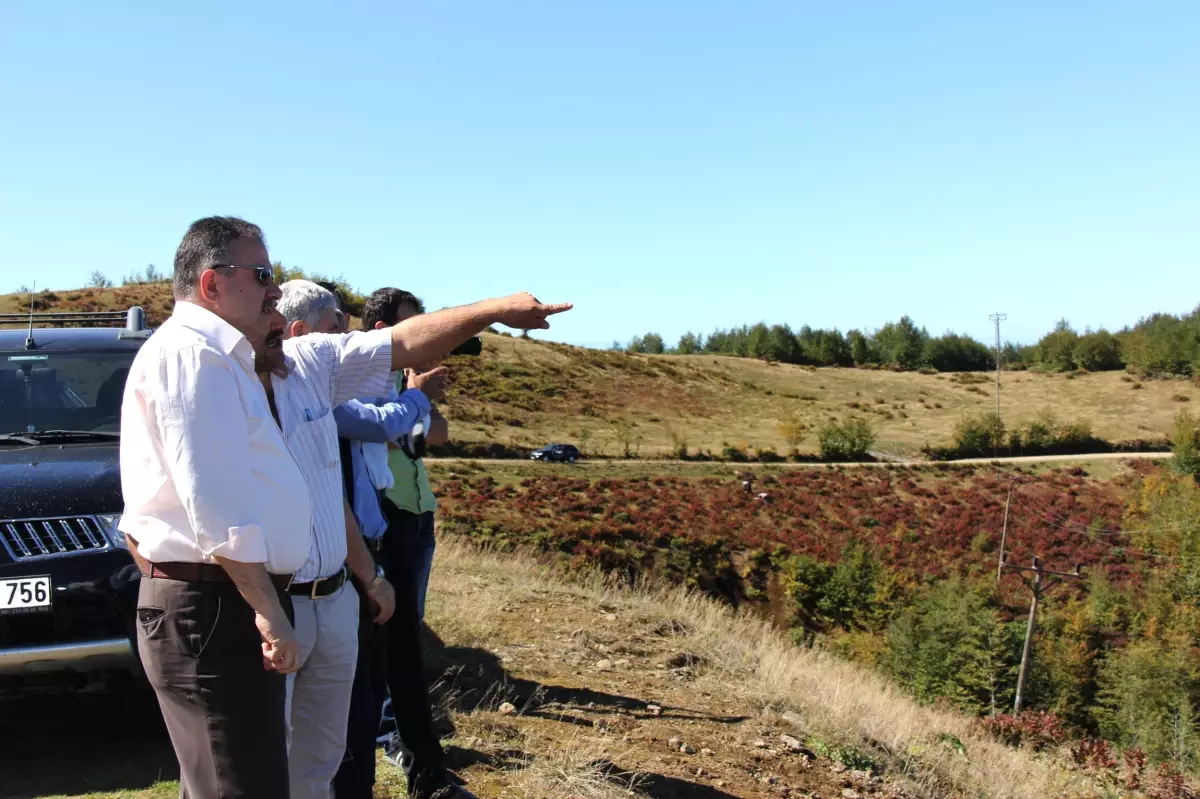 Davos'a Alternatif Karos