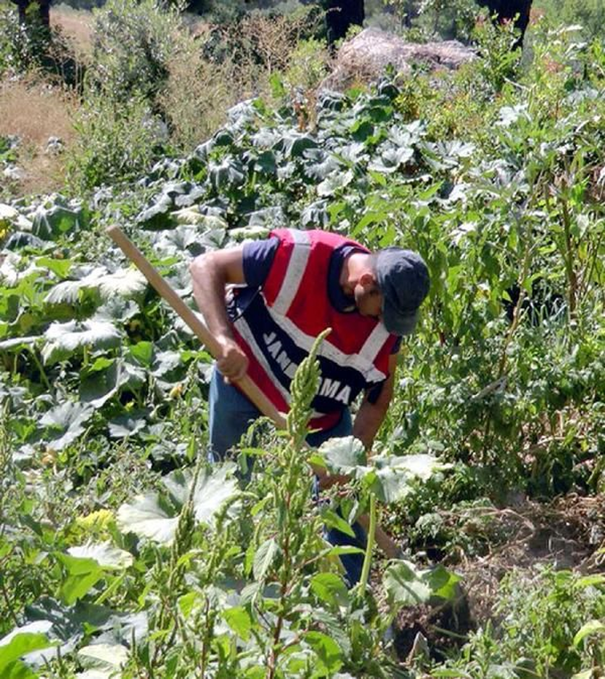 Fethiye\'de Şafak Baskınında 20 Kilo Esrar Ele Geçirildi