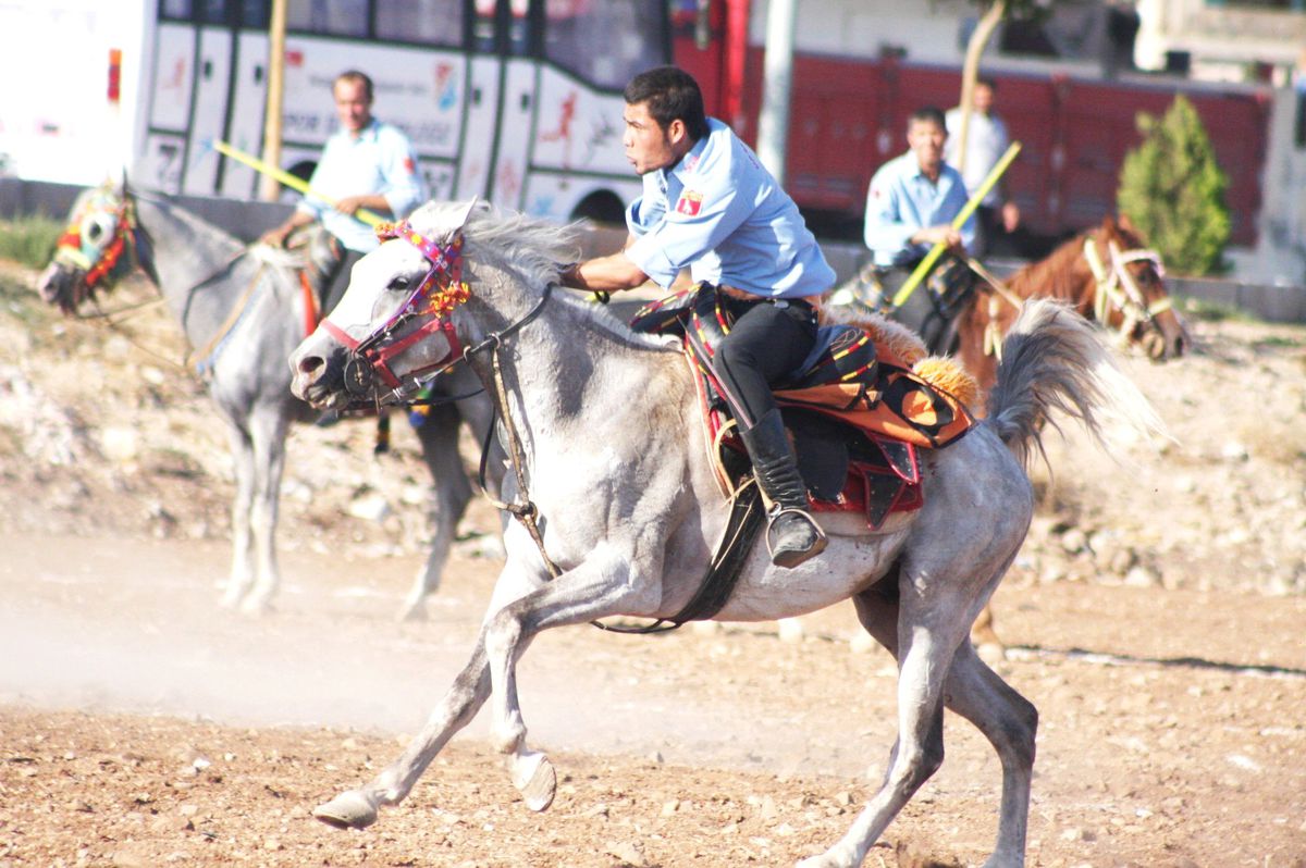 Şanlıurfa\'da Atlı Cirit Turnuvası