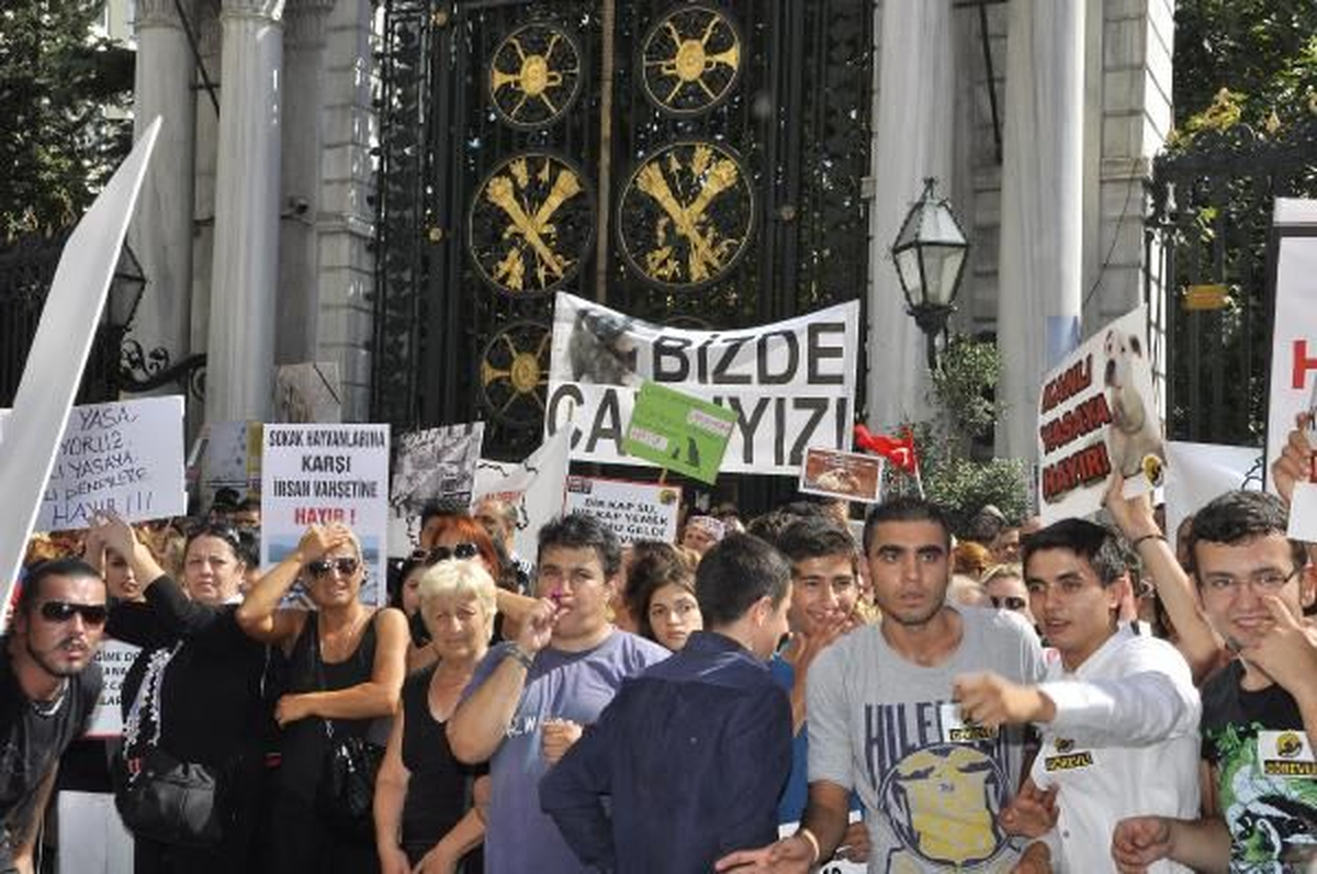 Binlerce Kişi Hayvan Hakları İçin Bir Araya Geldi