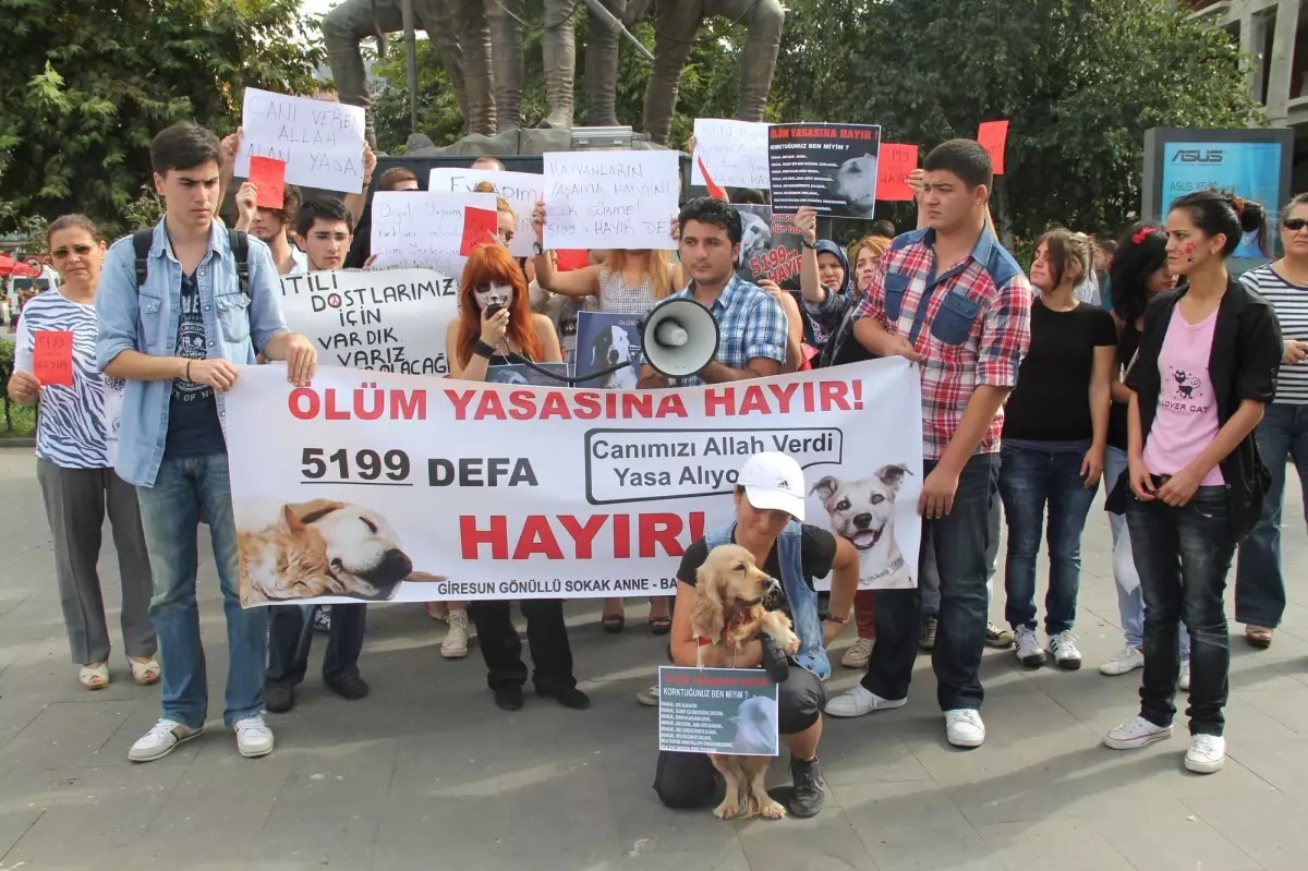 Hayvan Hakları İçin Birbirlerine Girdiler