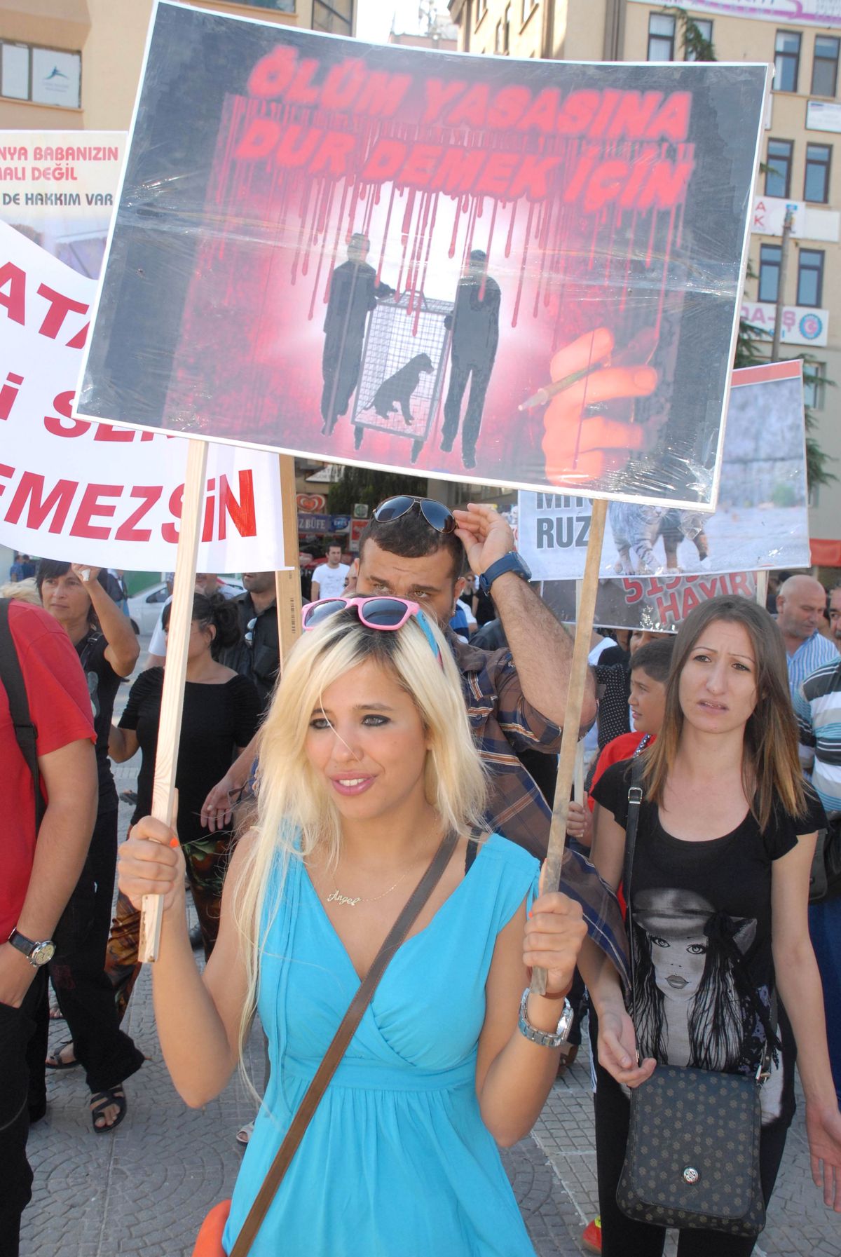 Hayvanseverler Tasarıyı Protesto Etti