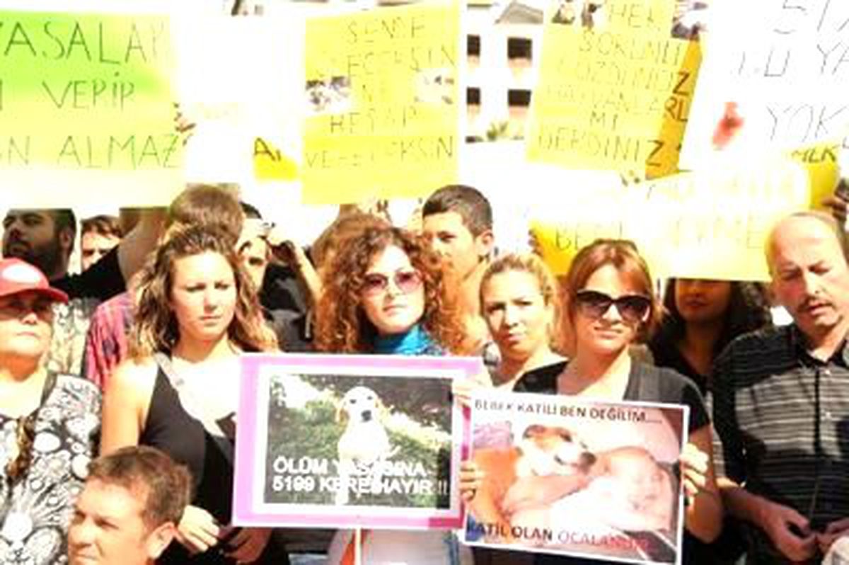 Hayvanseverlerden Yasa Değişikliğine Protesto