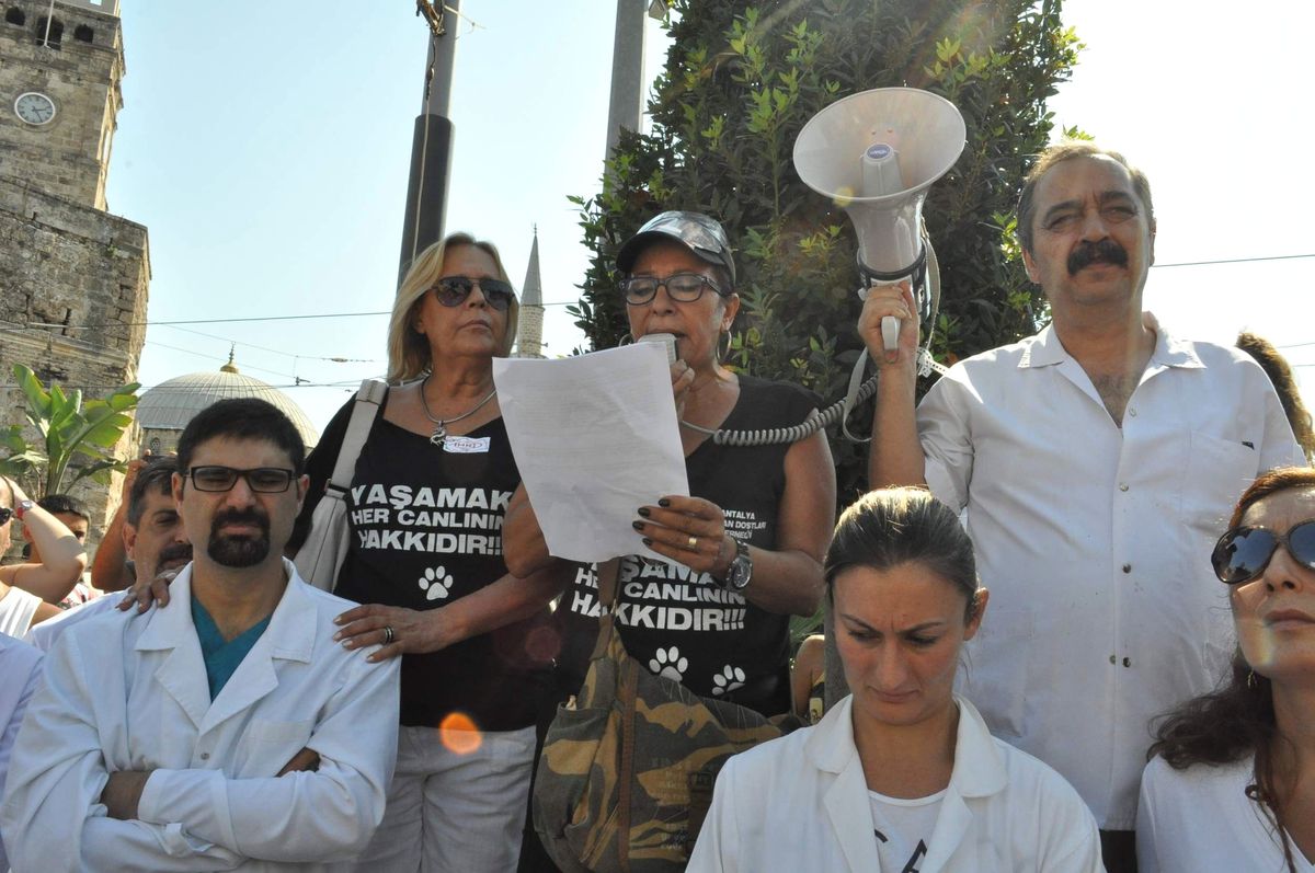 Hayvanseverlerden Yasa Protetostosu