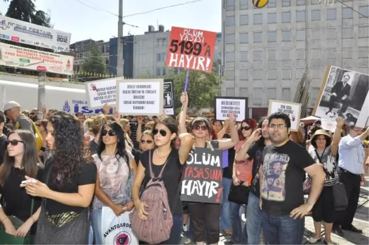 Hayvanseverlerden Yasa Tasarısına Tepki