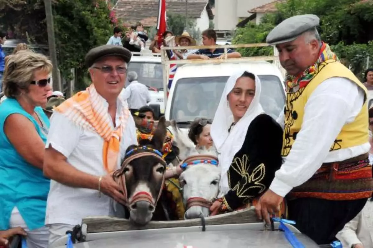 Kanser Hastasının Umudu Eşek Sütü