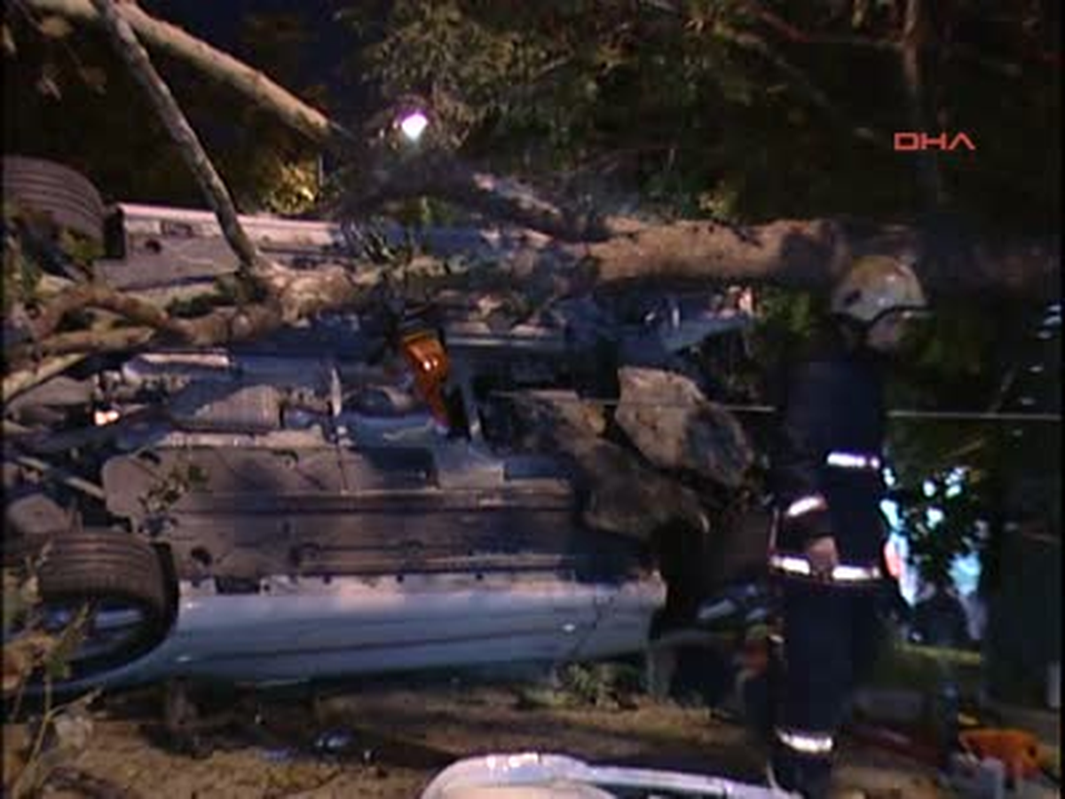 Çarptığı Ağaç Otomobilinin Üzerine Düştü