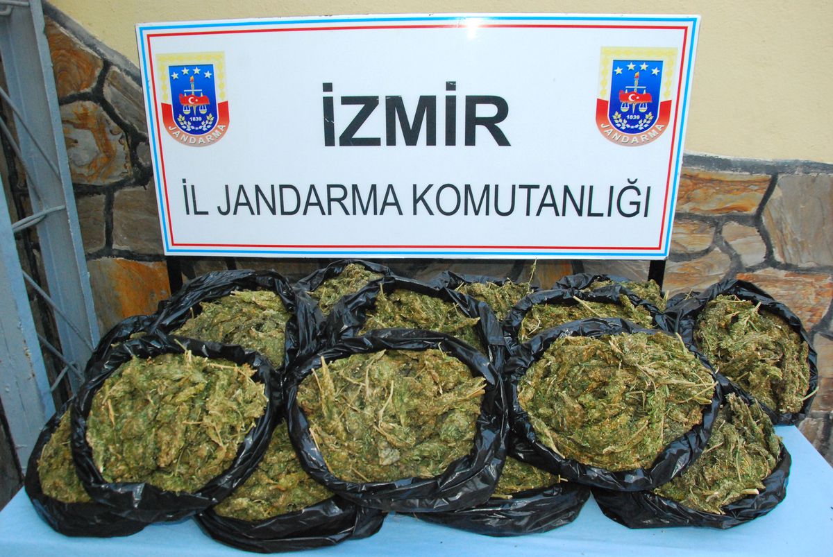 İzmir\'de Esrar Operasyonu
