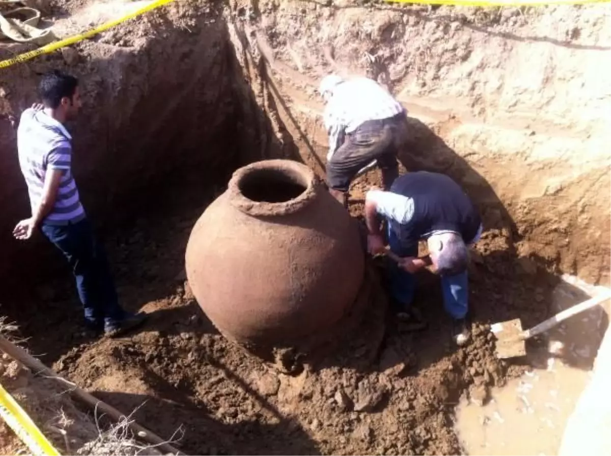 Karpuz Toplarken "Bin Yıllık Küp" Buldu