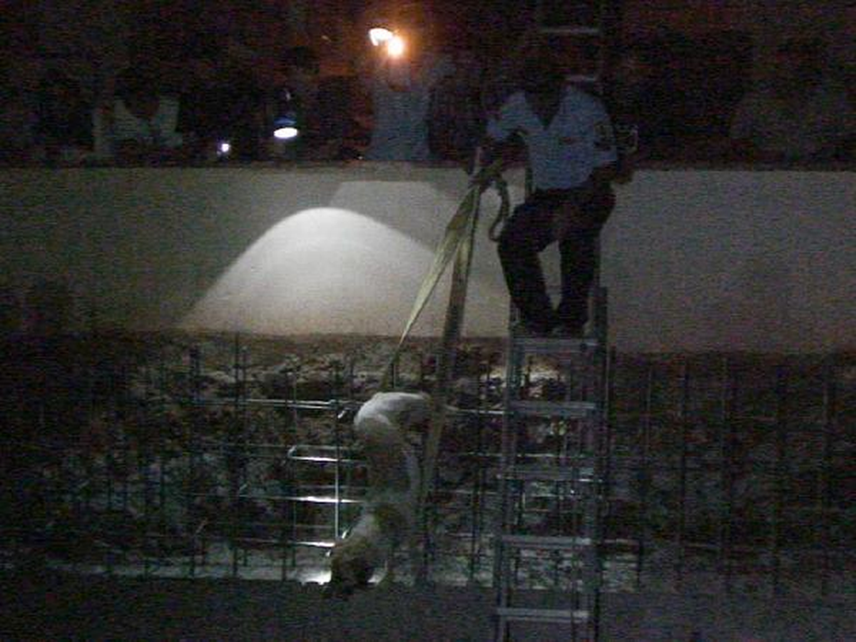Kedi Kovalayan Köpeğe, İnşaatta Demir Saplandı