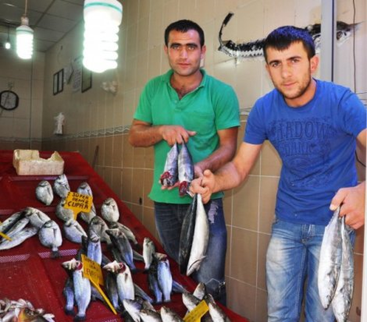 Kocaeli\'de Balık Fiyatları
