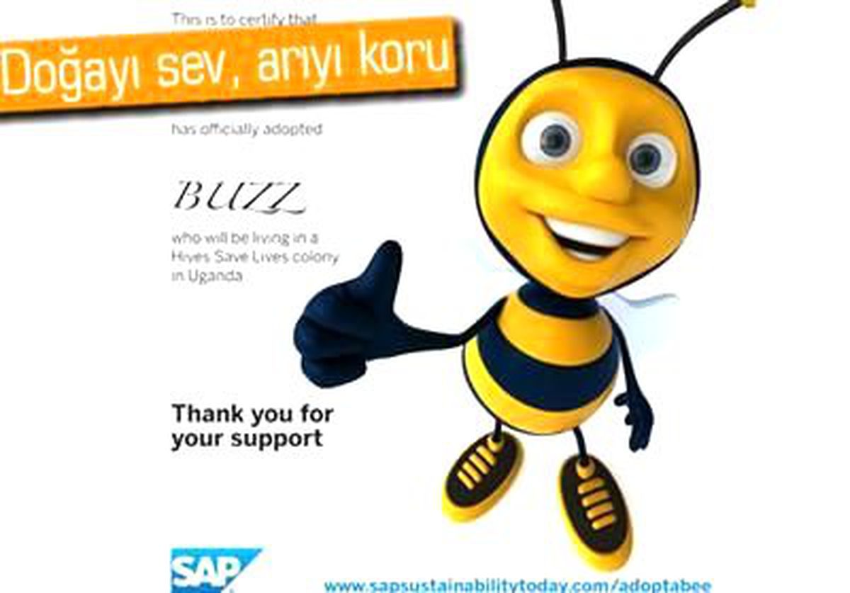 Sap, Arı Neslini Koruma Altına Aldı