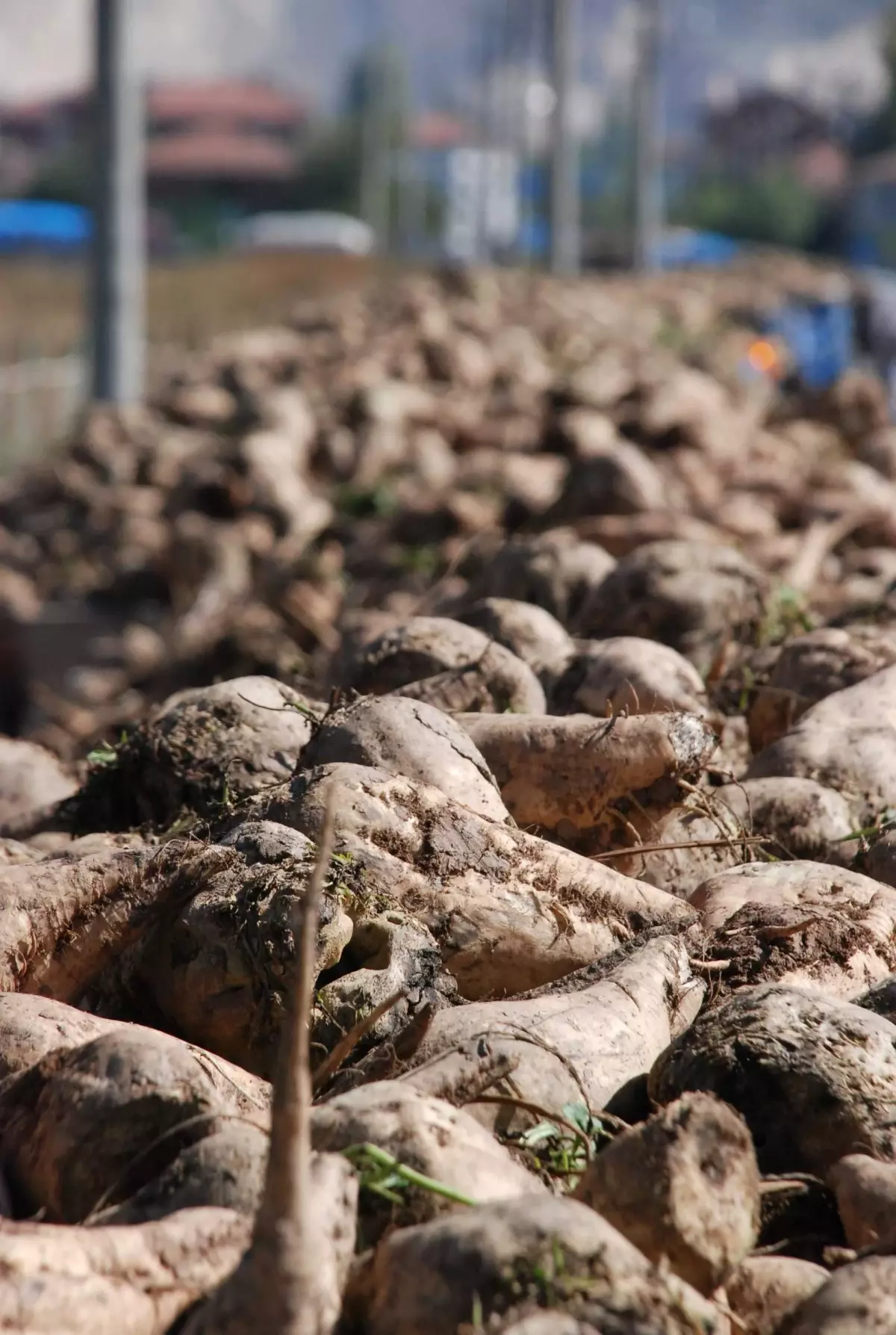 Traktör Sürücülerine "Azrail\'in Yardımcısı Olmayın" Uyarısı