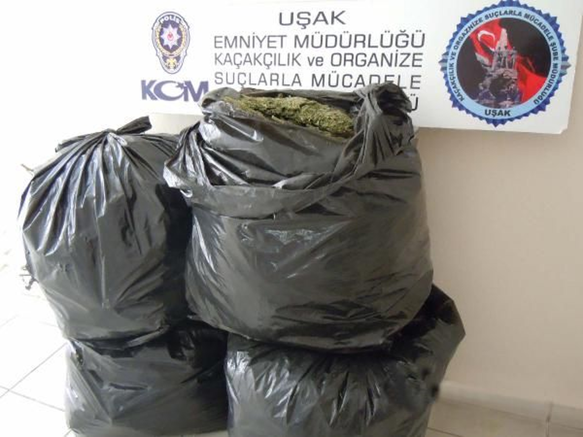 Uşak\'ta 44 Kilo 450 Gram Esrar Ele Geçirildi