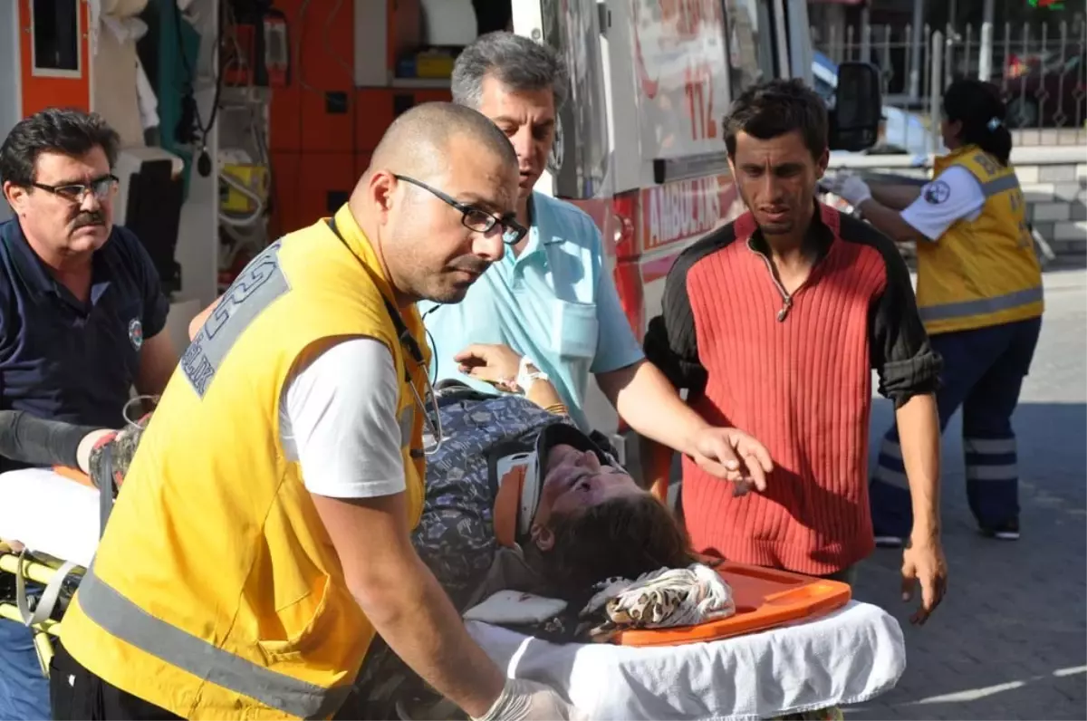 Ceviz Toplarken Canından Oluyordu