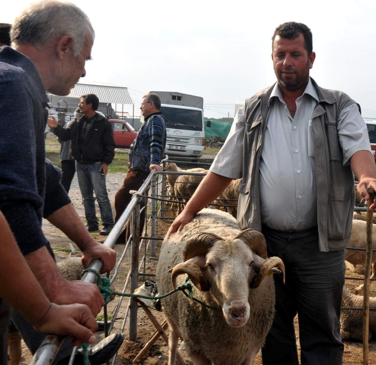 Gönen Hayvan Pazarında Bayram Hareketliliği Başladı
