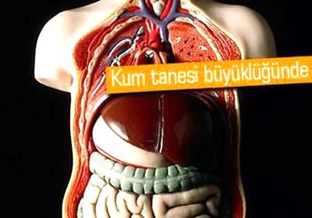 Hap Şeklinde Çipler Yolda
