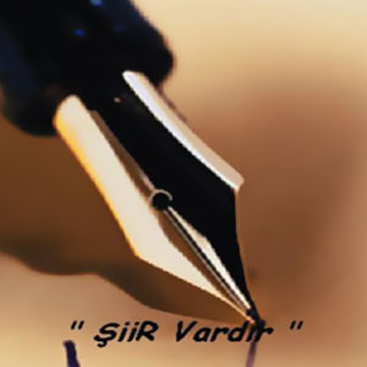 'Hasan Bayrı Şiir Yarışması' Sonuçlandı