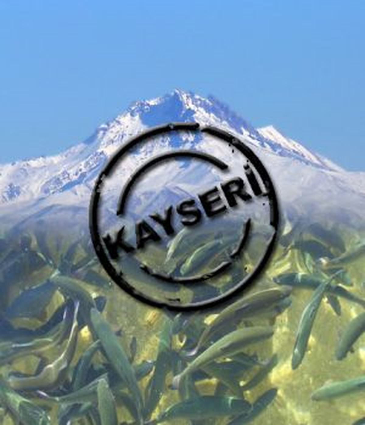 \'\'Kayseri\'ye Deniz Geldi\'\'