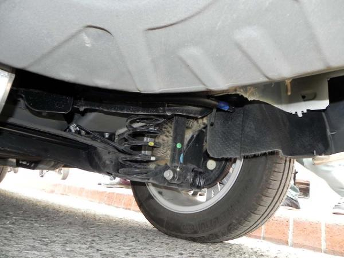 Otomobilin Altındaki Kediyi Çıkarma Operasyonu
