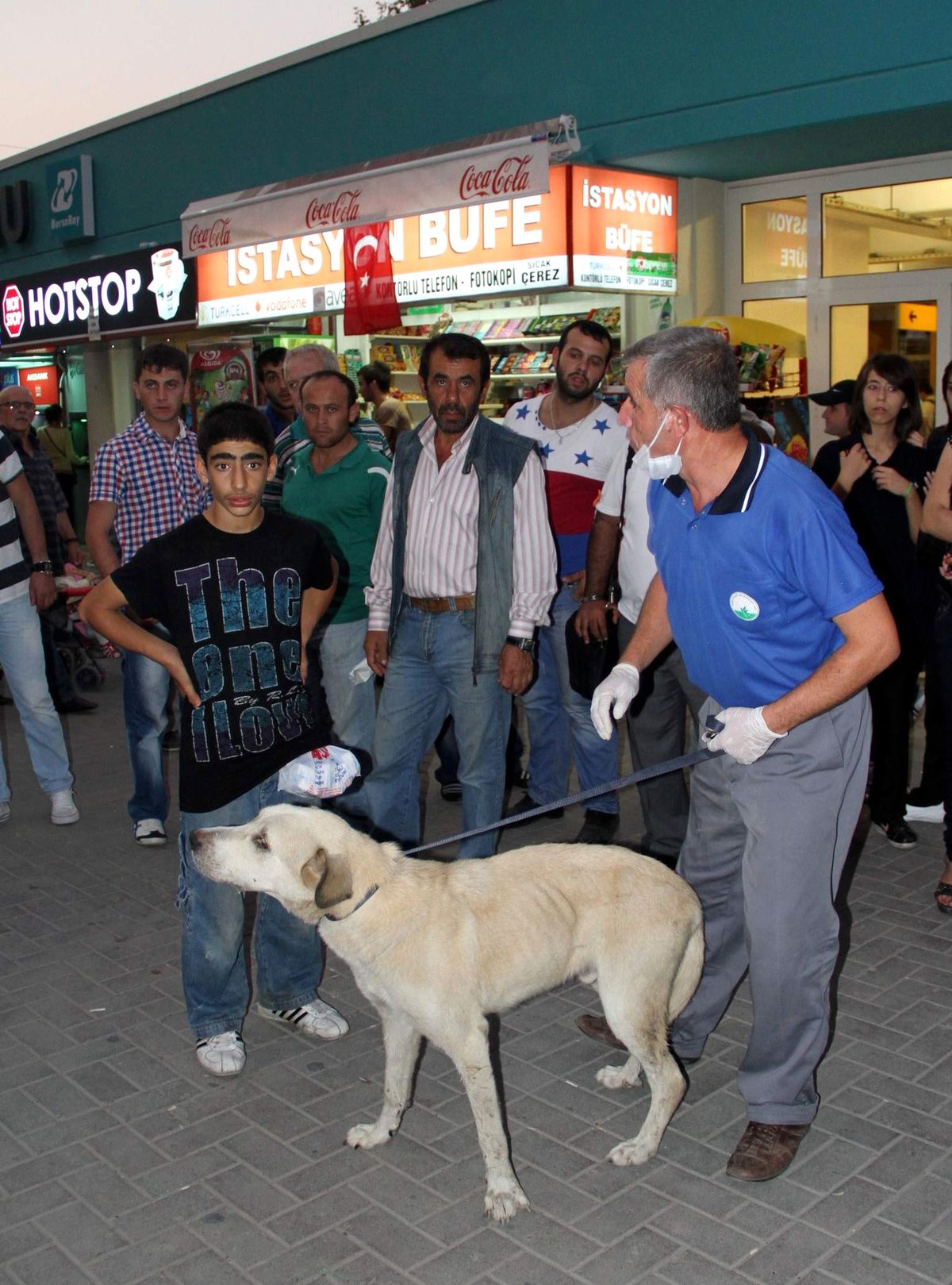 Bursa\'da Yaralı Sokak Köpeği Seferberliği