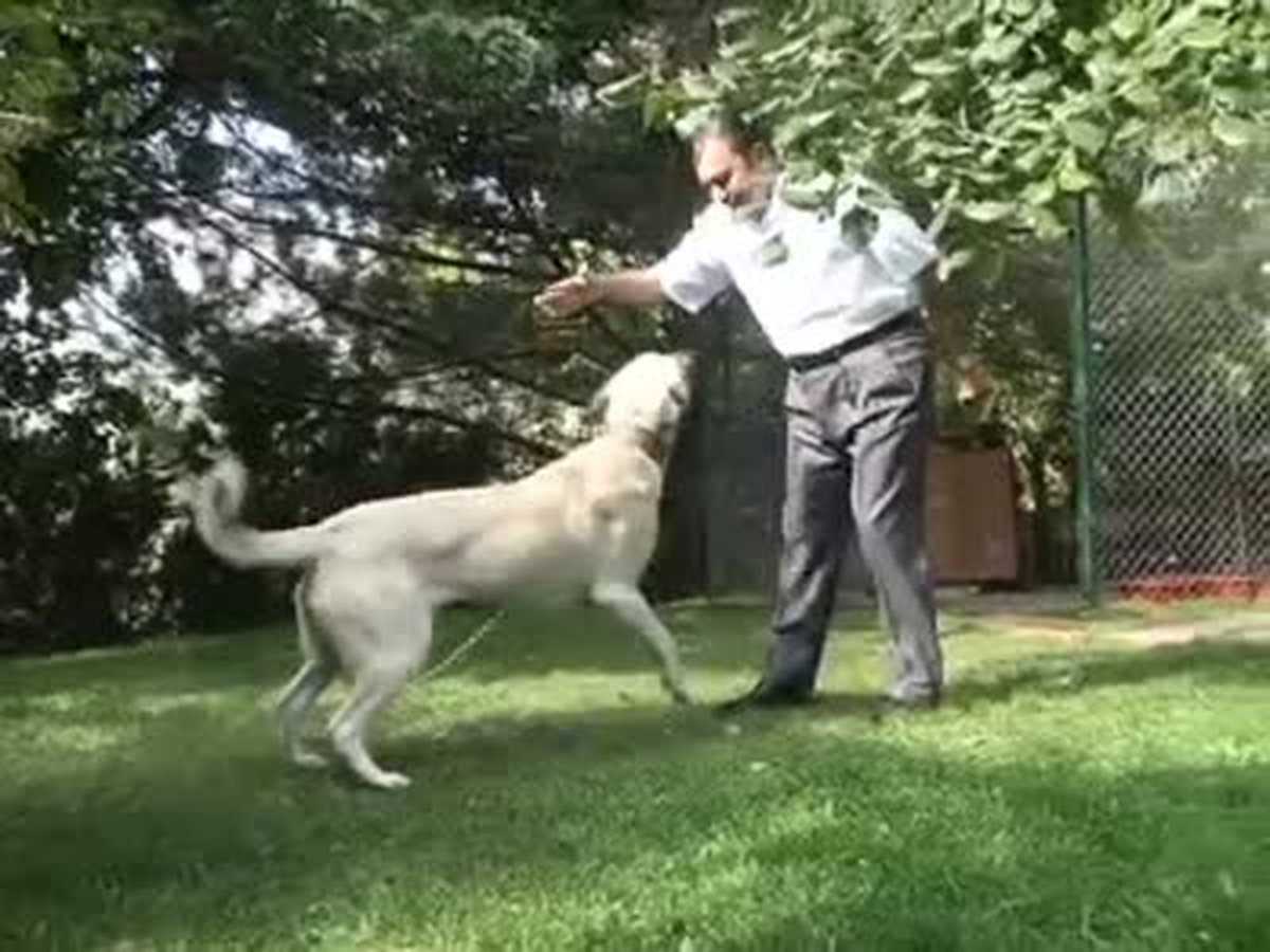 Eroğlu Düzenlemeyi Değerlendirdi