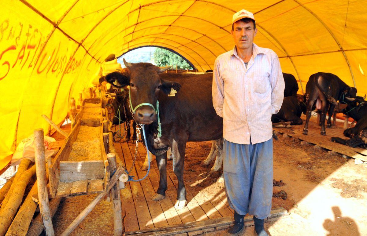 Kepez\'de Kurban Satış Pazarı Kuruldu