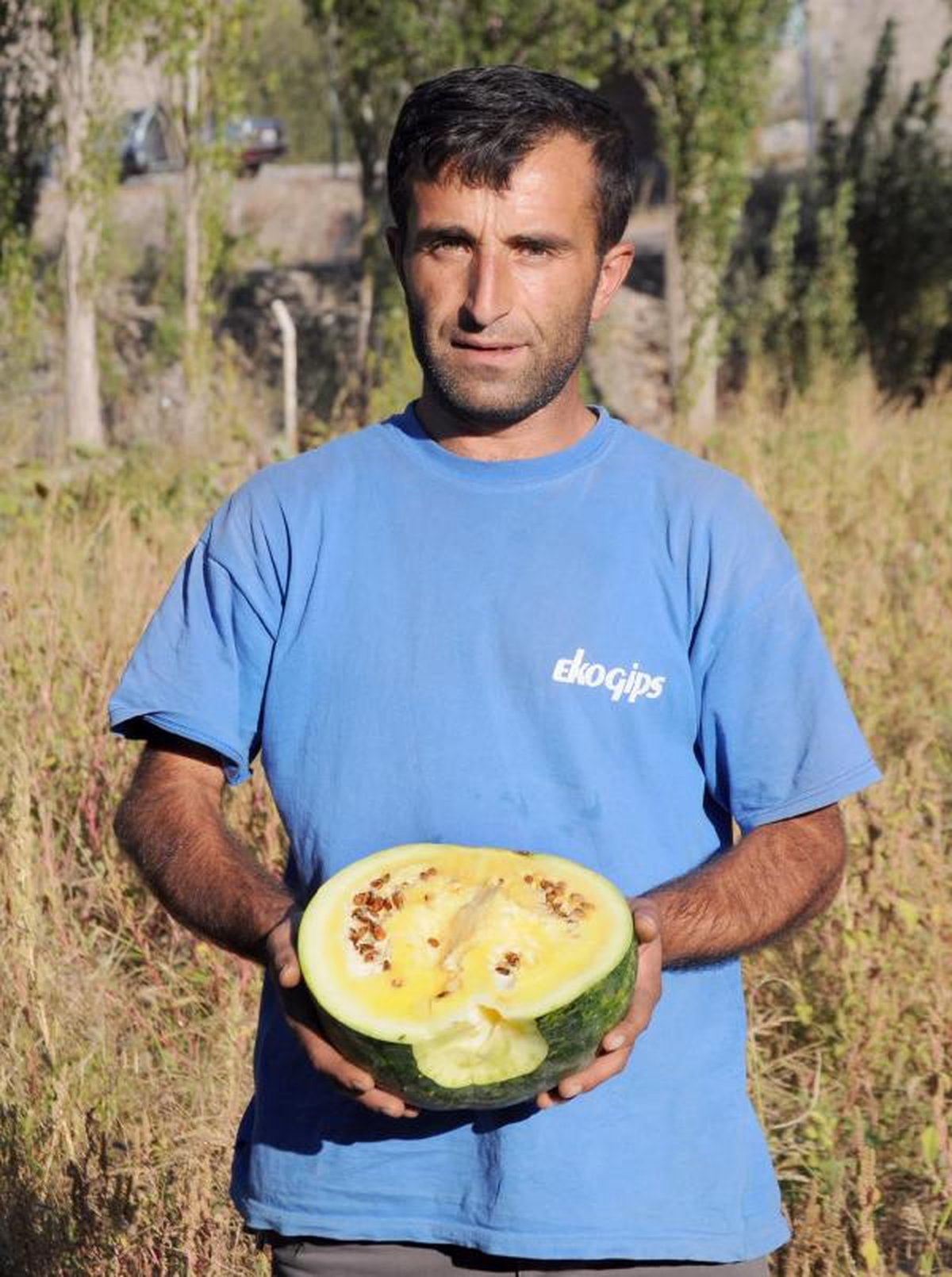 İçi Sarı Karpuz Yetiştirdi