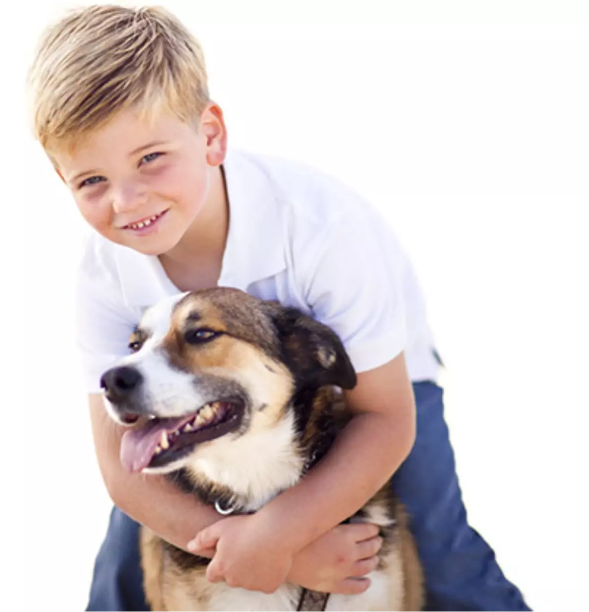 Aslında Onlar Bizim En İyi Dostumuz!