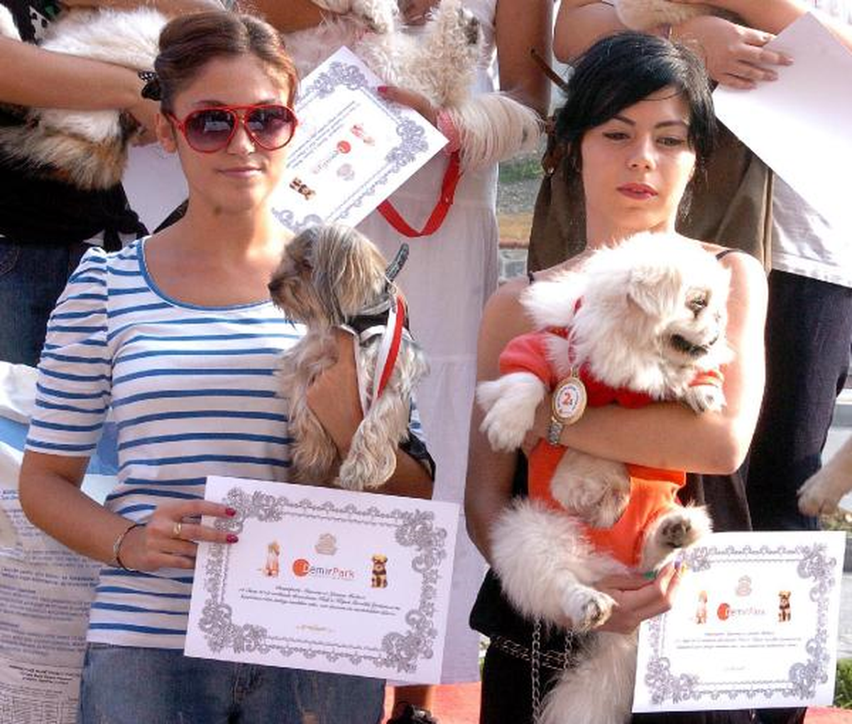 En Güzel Kedi ve Köpek Yarışması