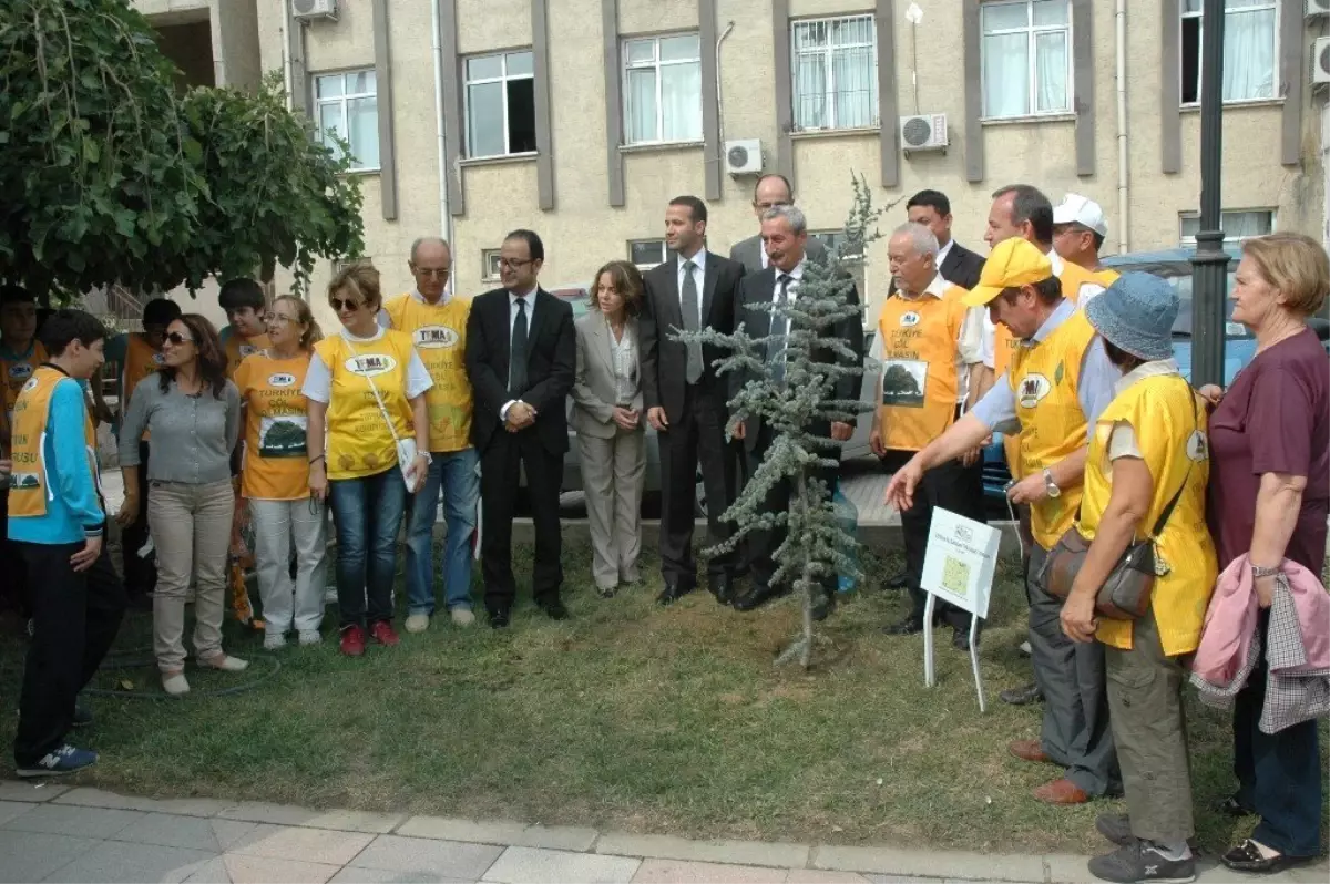 İş Bankası\'nın 75. Ormanı Tekirdağ\'a Kuruldu