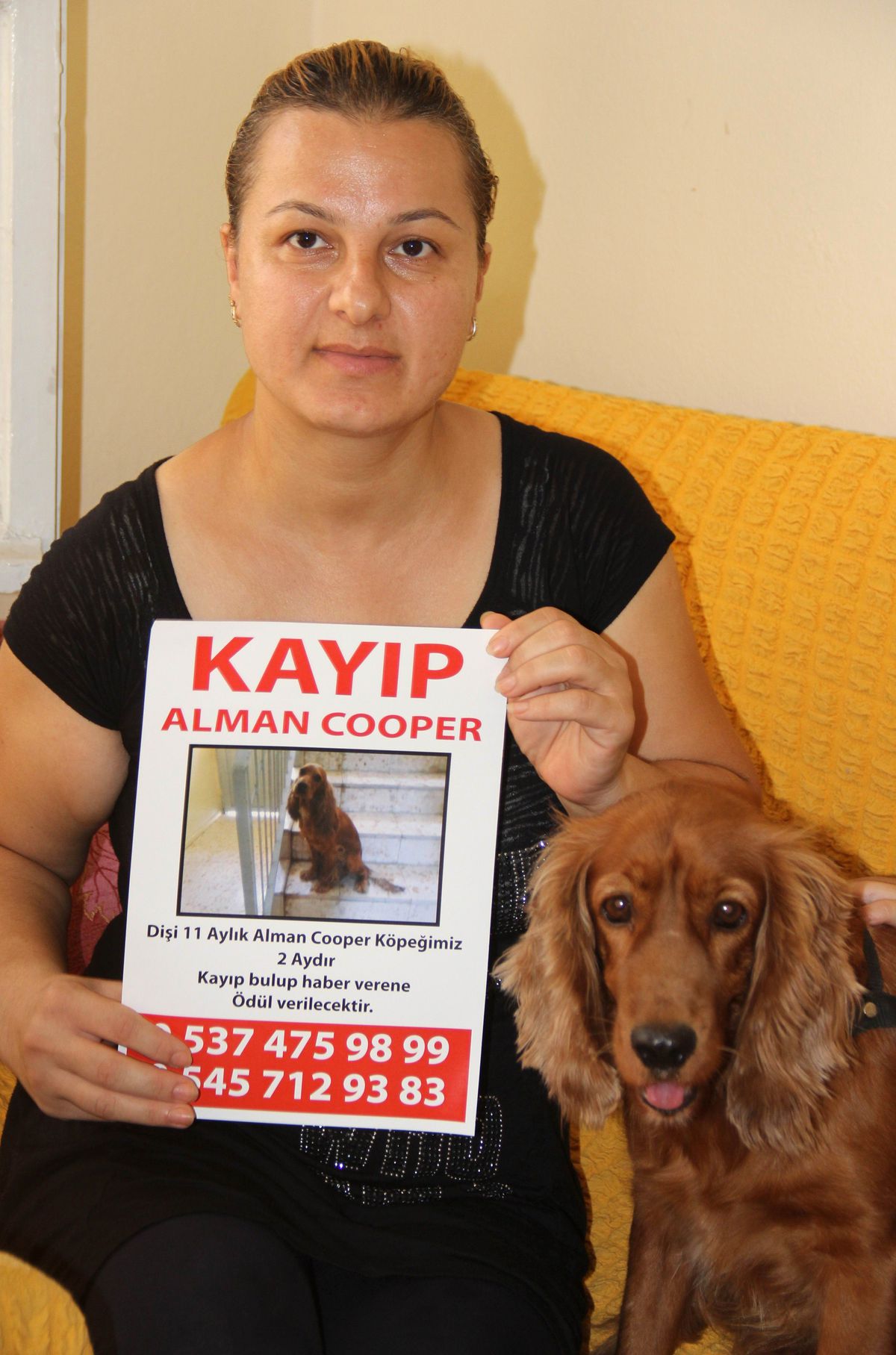 Kayıp Köpeğini Bulana Ödül Verecek