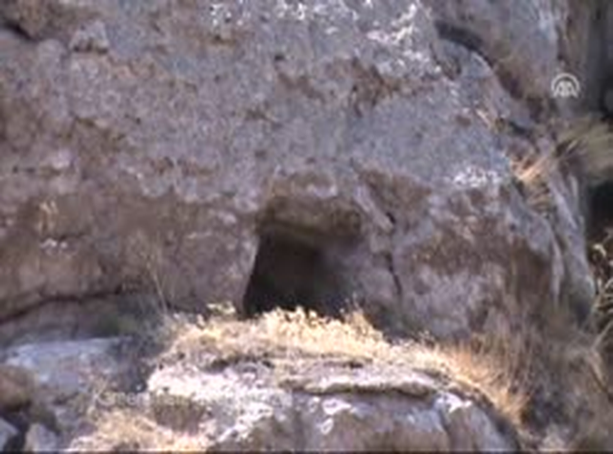 Mağarada "Peynir Nöbeti"