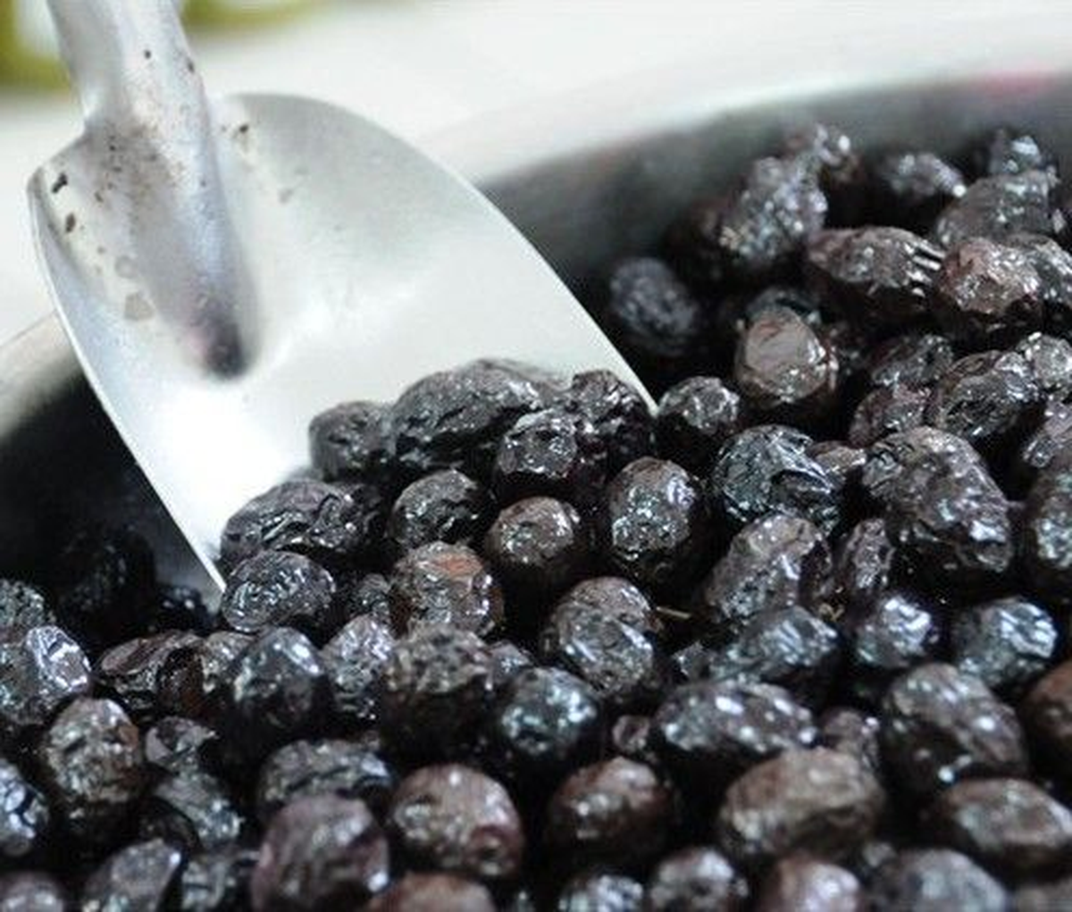 Mut\'ta 90 Bin Ton Zeytin Rekoltesi Bekleniyor