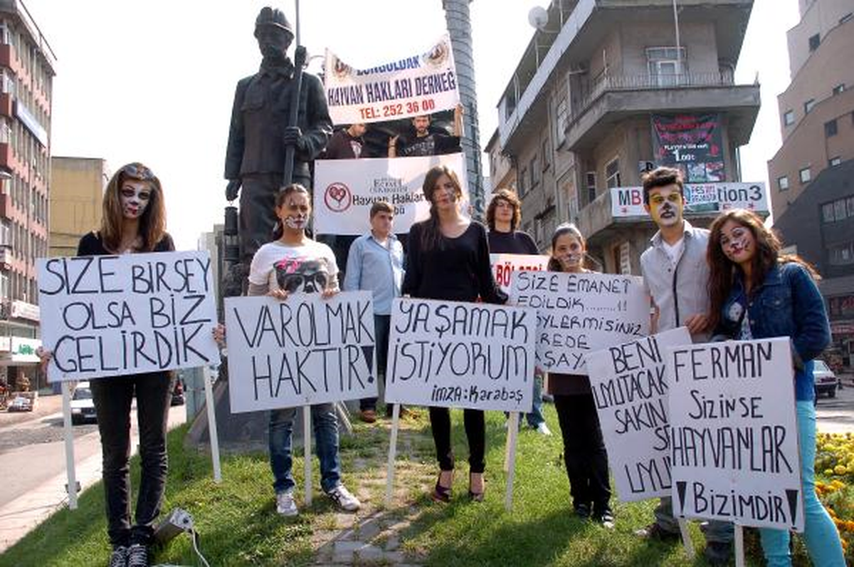 Zonguldak\'ta Hayvan Yasasına Tepki