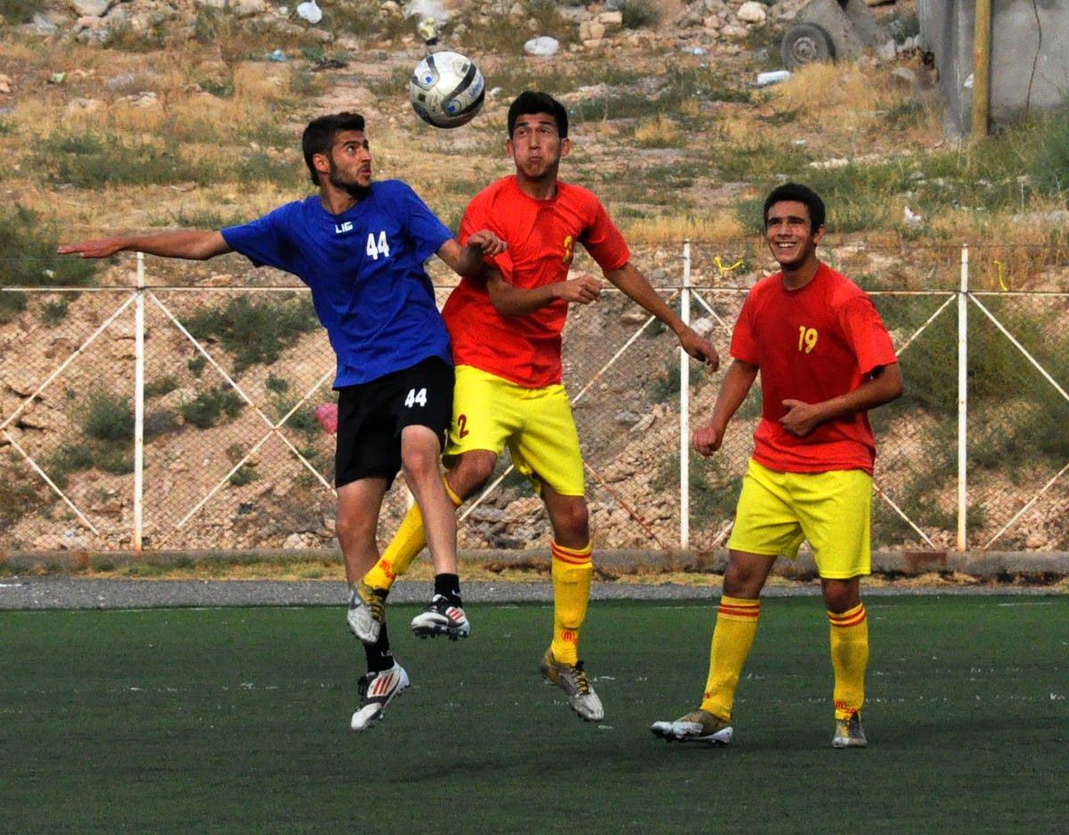 Bal Ligi