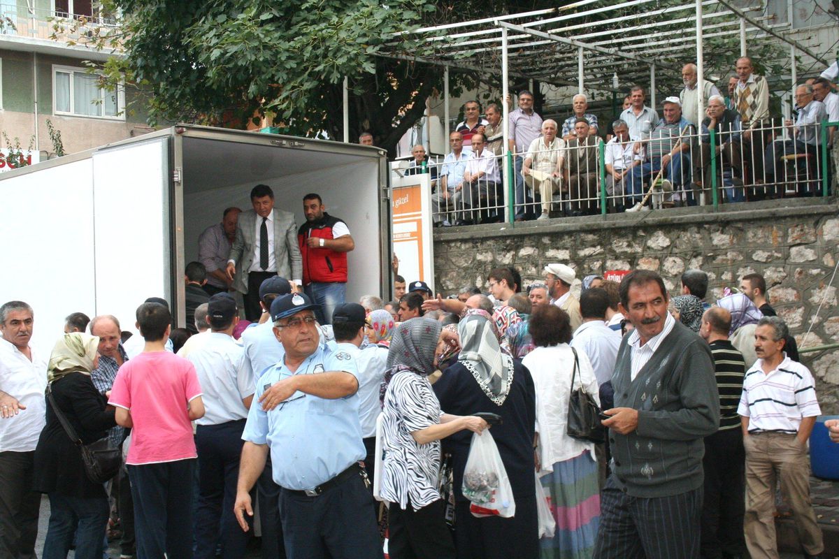 Bedava Hamsi Kapışıldı