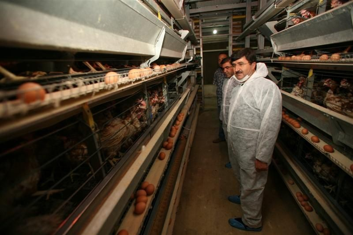 Gıda Sektörüne Yatırım Çağrısı