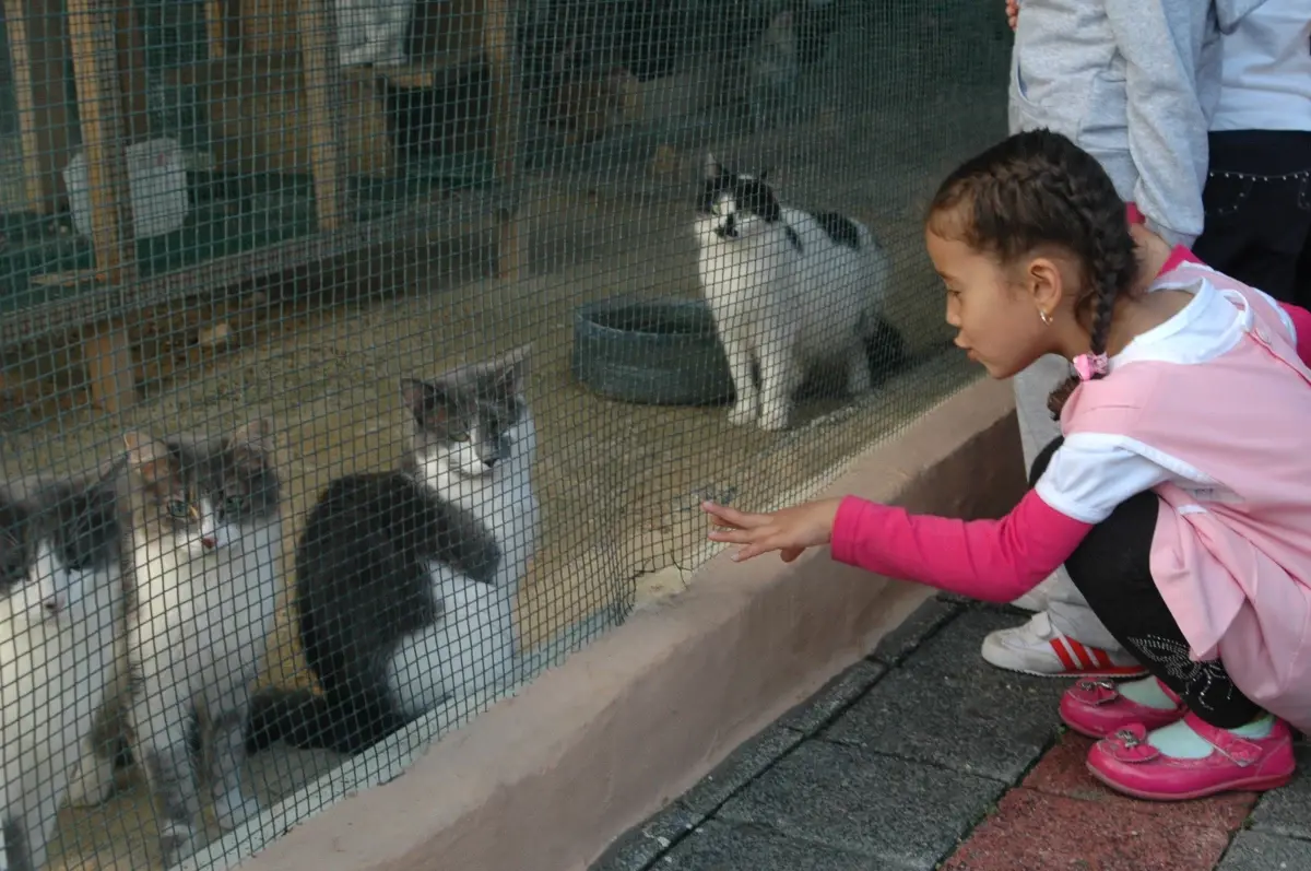 Hayvanları Koruma Günü Hayvanat Bahçesinde Kutlandı