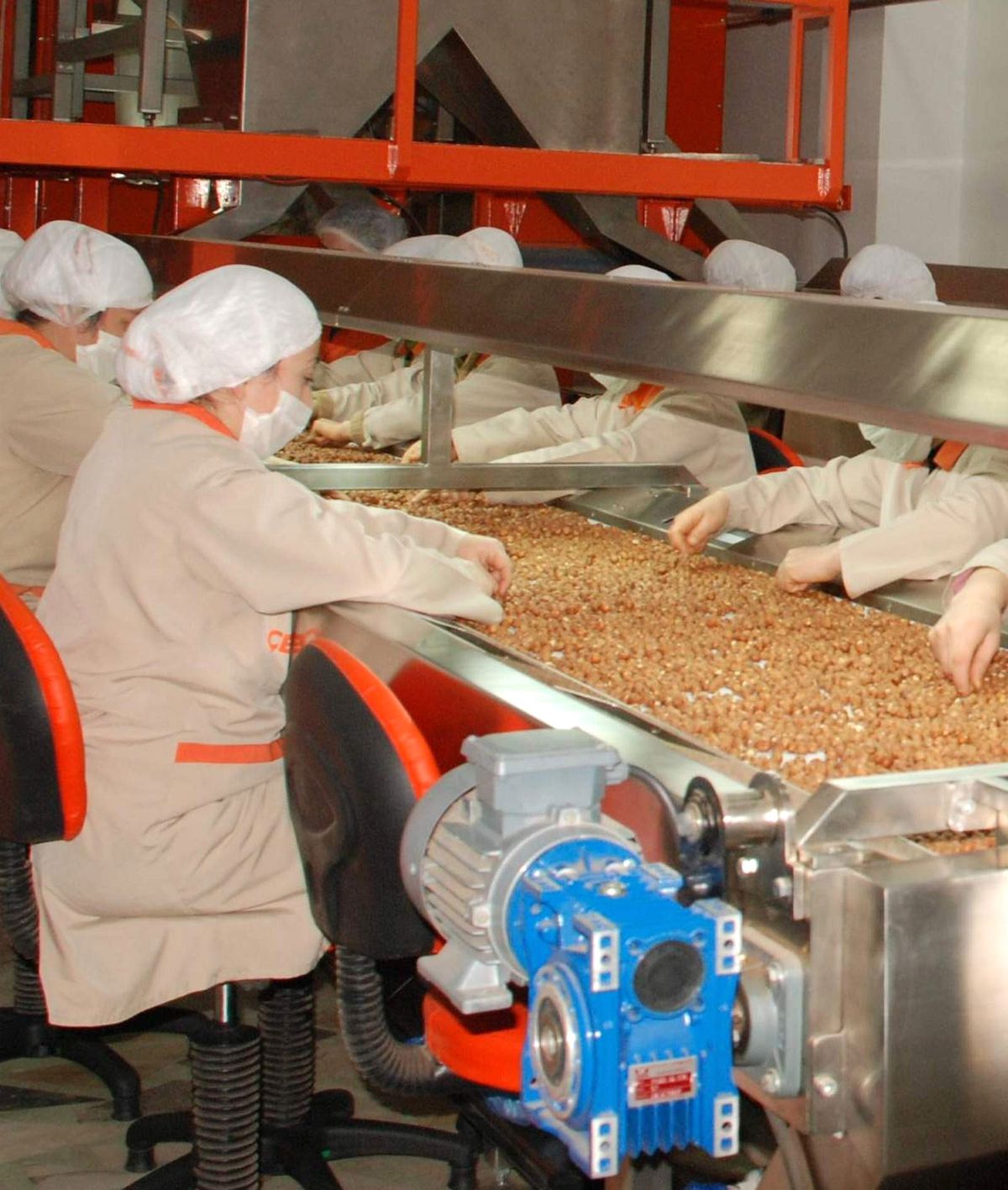 35 Bin 828 Ton Fındık İhraç Edildi