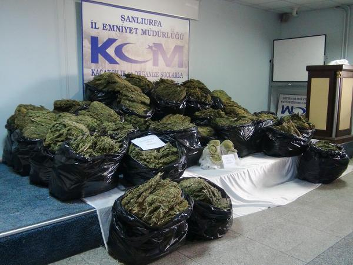 Minibüste 441 Kilo Esrar Ele Geçirildi