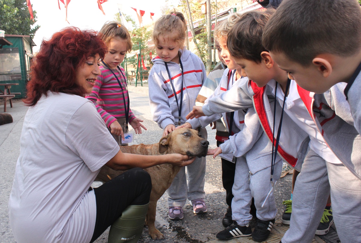 "Puki" İsimli Sakat Köpek Miniklerin Sevgilisi Oldu