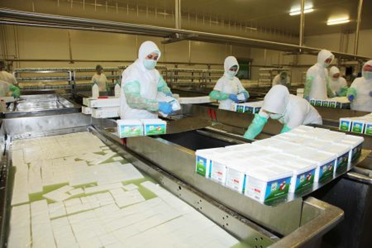 TEKSÜT Markalı Sütler Satışa Sunuluyor