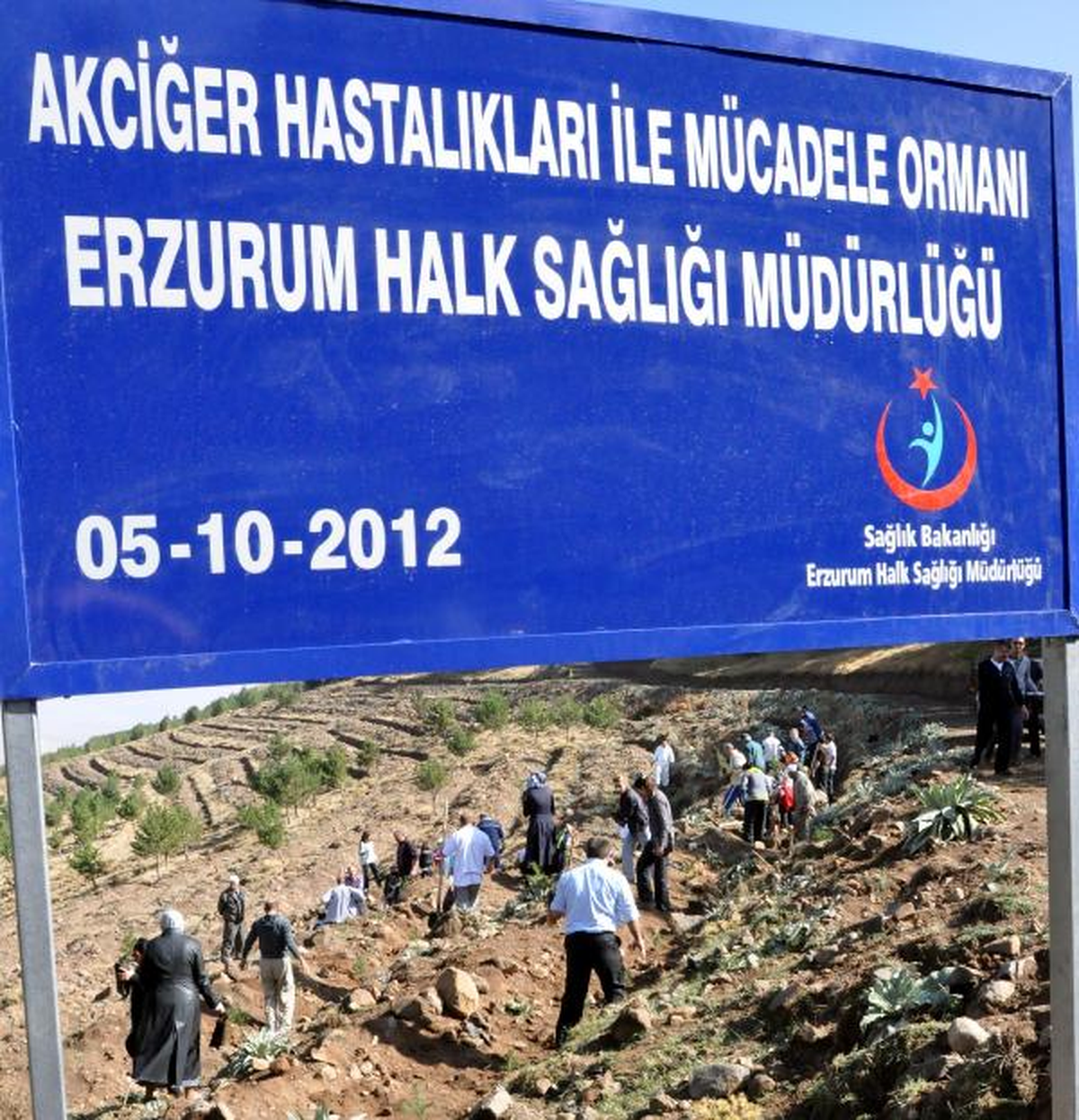 Akciğer Hastalıklarıyla Mücadele İçin Fidan Diktiler