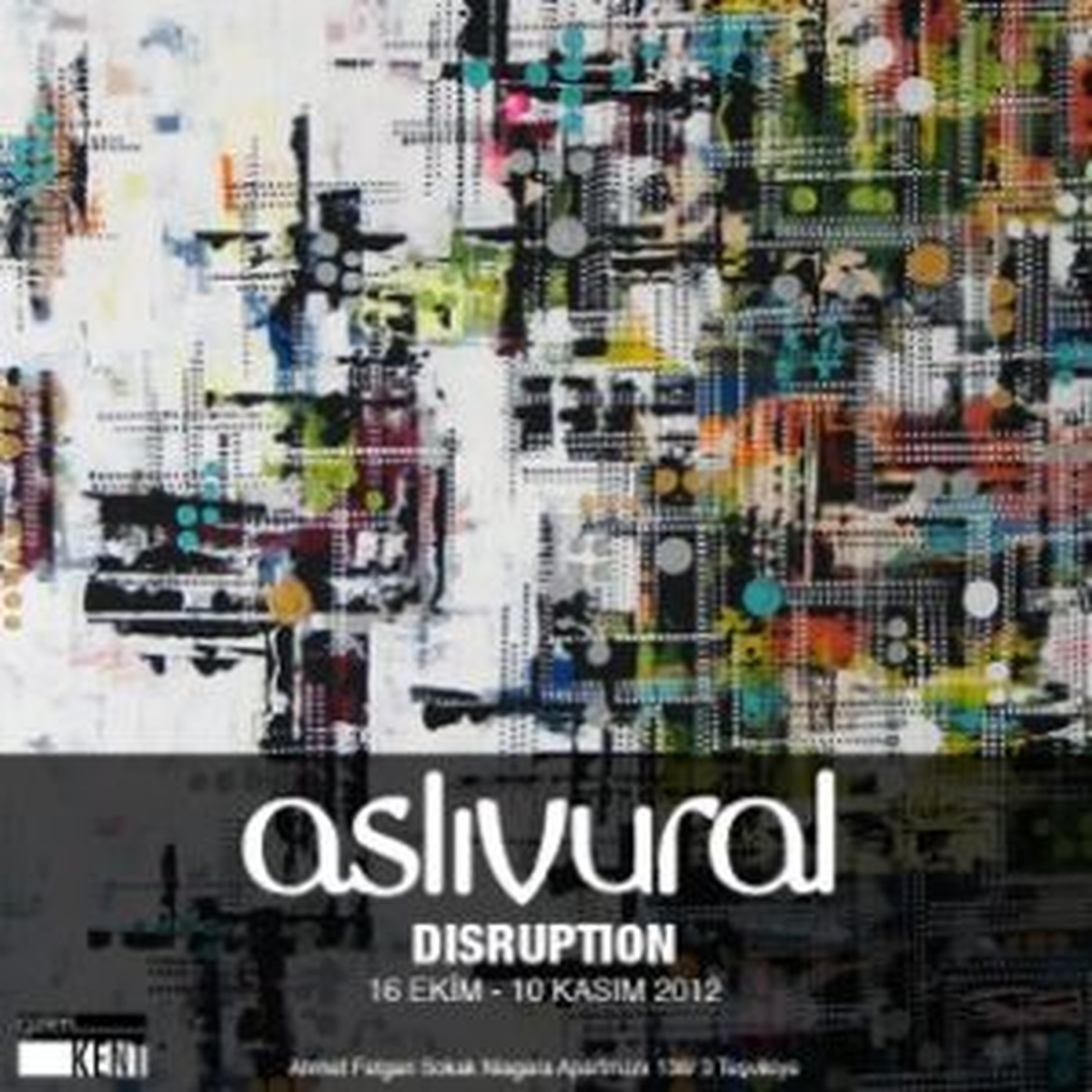 Aslı Vural\'ın \'\'Disruption\'\' Sergisi