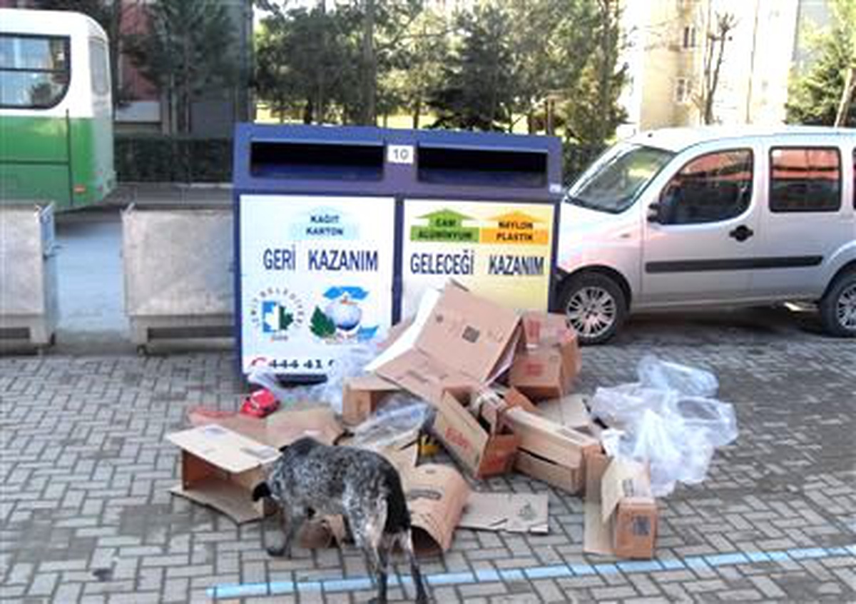 Geri Dönüşüm Kutularına Atılan Atıklar Şaşırtıyor