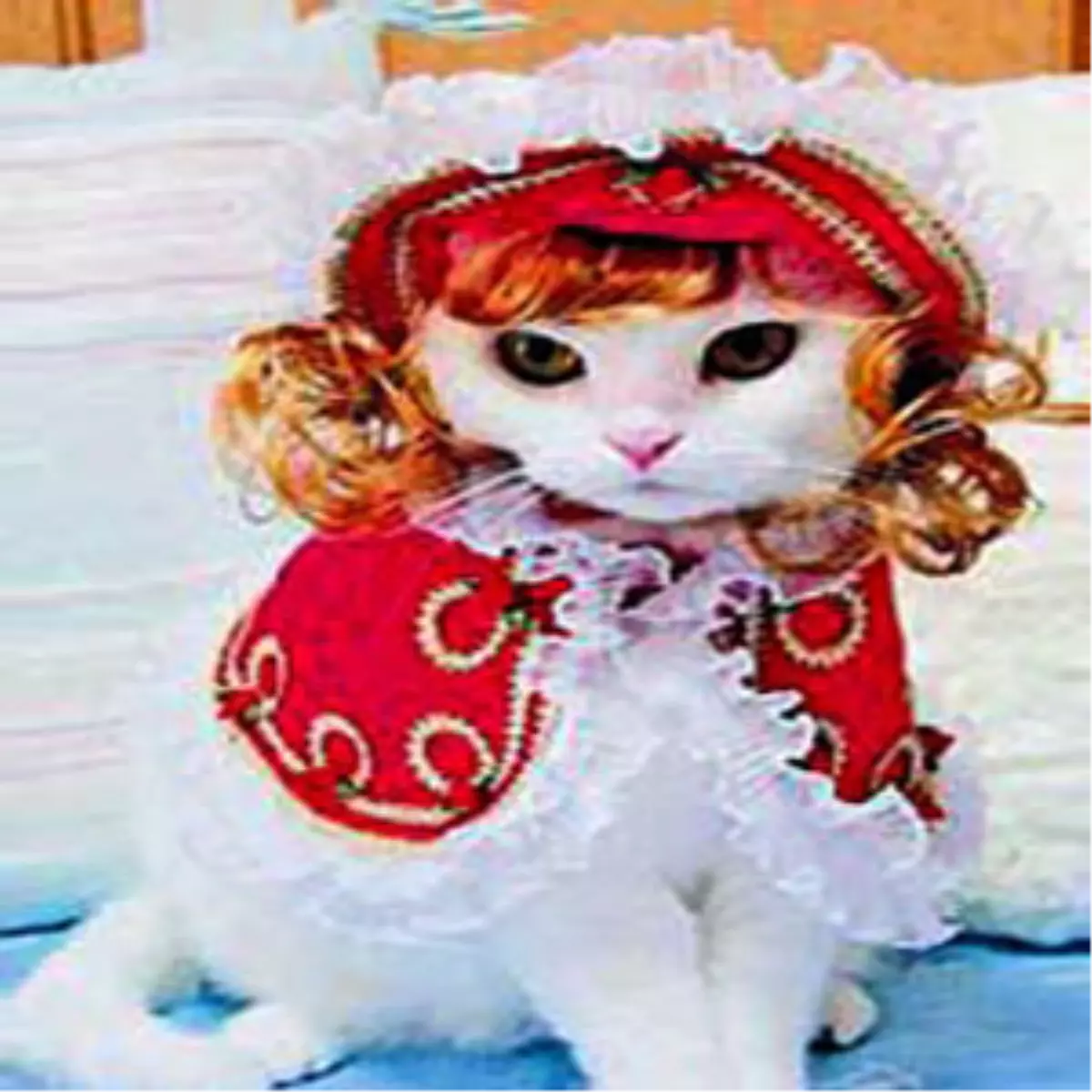 İşte Dünyanın En Ünlü Pisi Pisileri