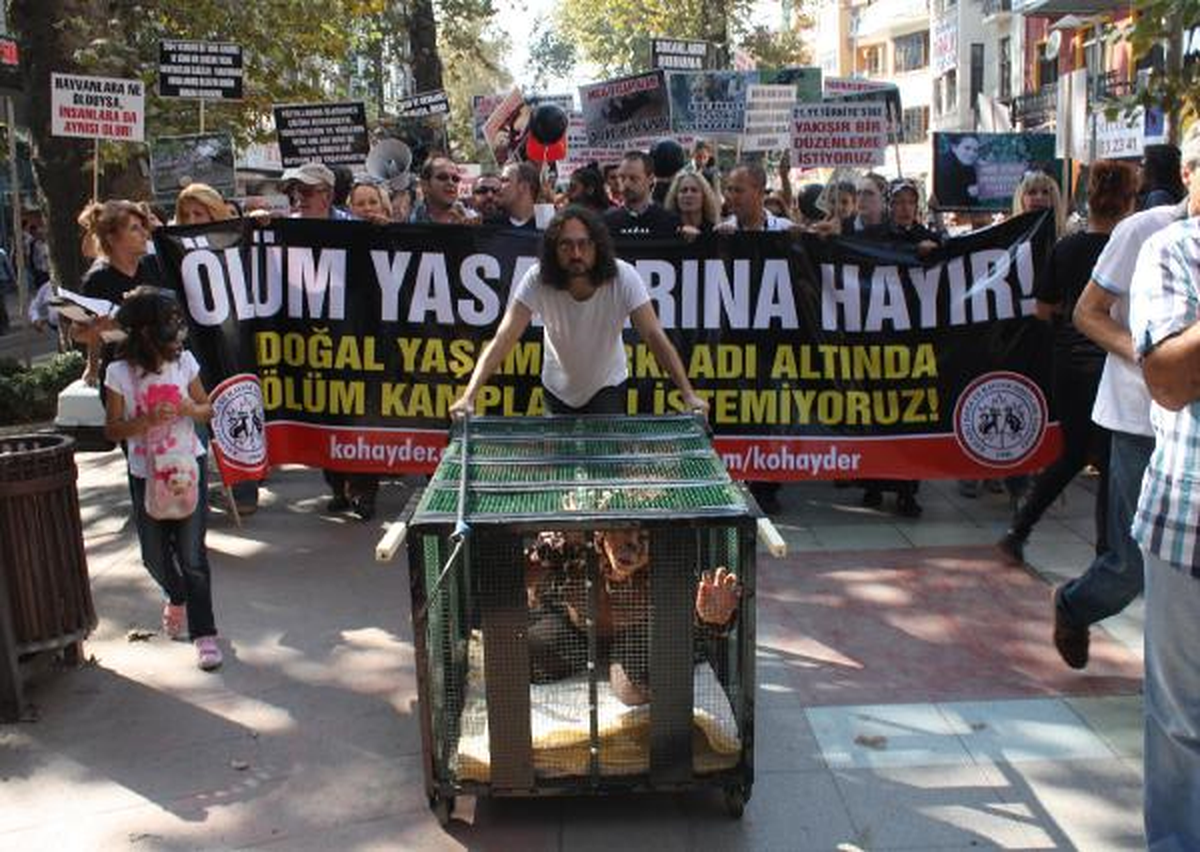 Hayvanseverlerden \'Kafesli Protesto\' Yürüyüşü