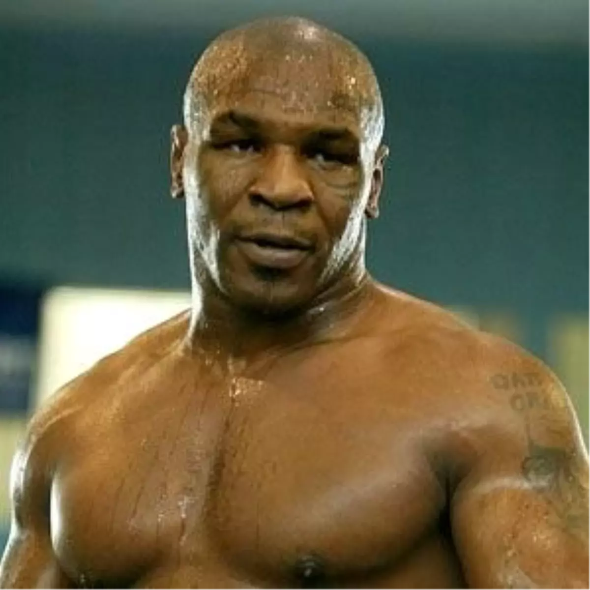 Mike Tyson ile "Hayat Bilgisi"